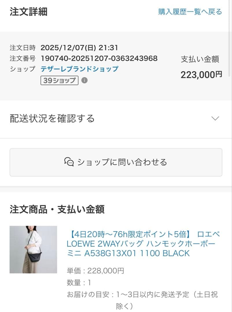 LOEWE ハンモックホーボー ミニ