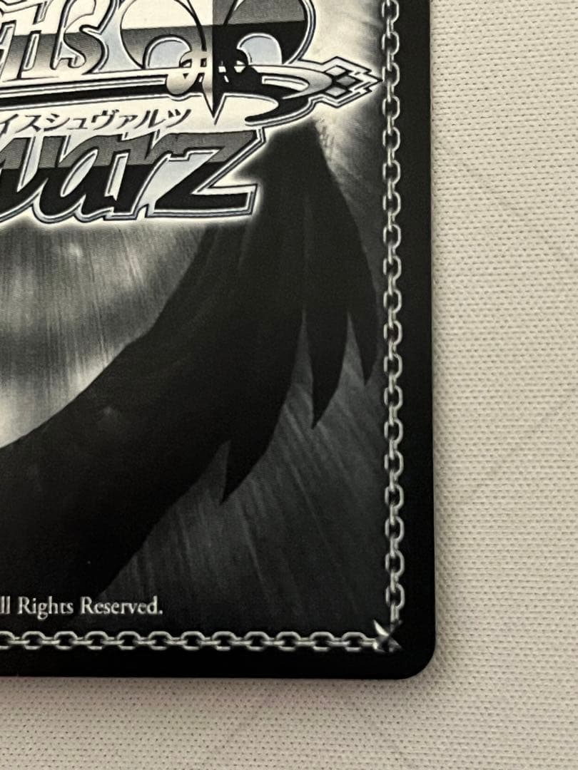 ws ヴァイスシュヴァルツ　ヒンデンブルク　sp サイン