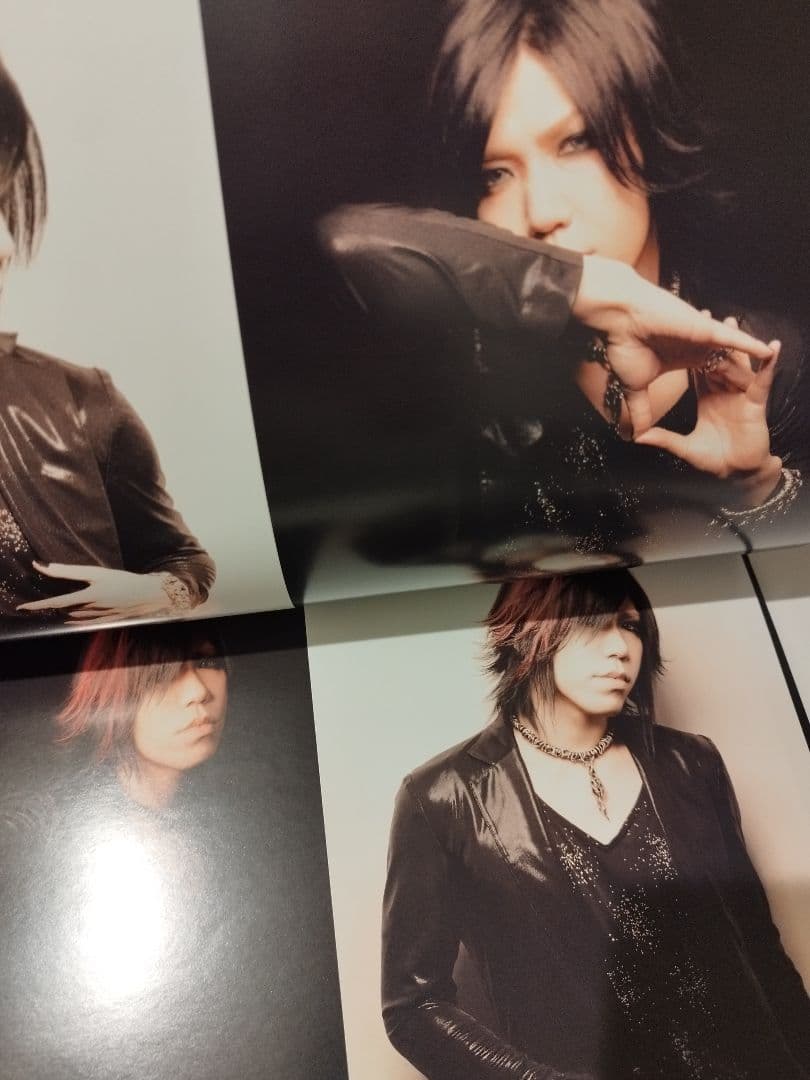 the GazettE パンフレット 写真集