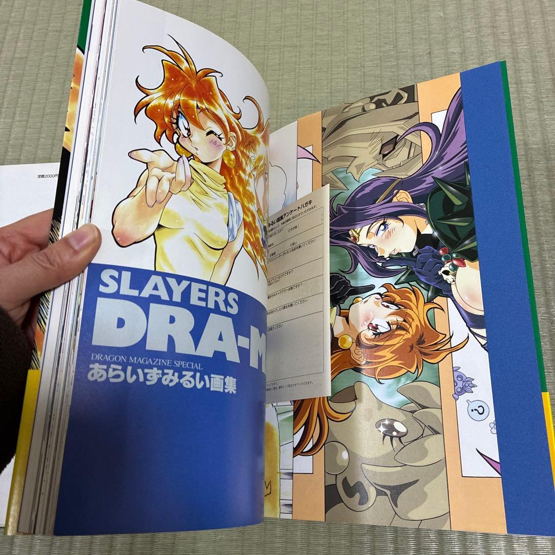 SLAYERSスレイヤーズ あらいずみるい画集 2冊セット - メルカリ