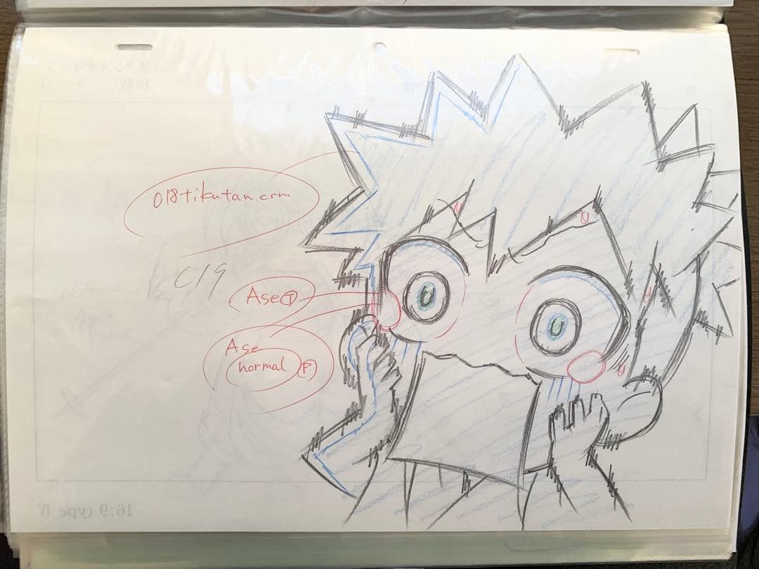 びんちょうタン　アニメ　原画セット　江草天仁