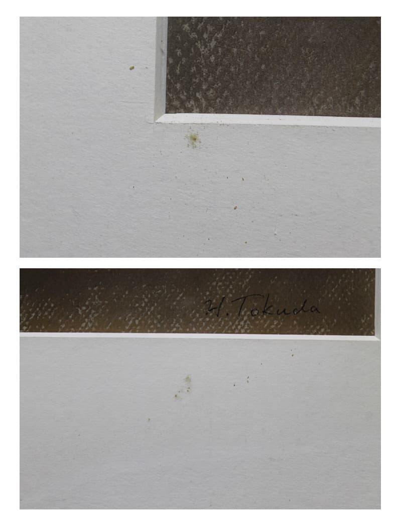 徳田宏行【花瓶の花】 パステル 10号