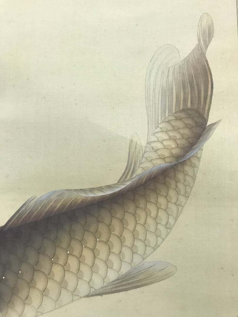 【真作】小林柏陽/師　西村五雲/遊鯉図/鯉図/掛軸/名家伝来/AC-630