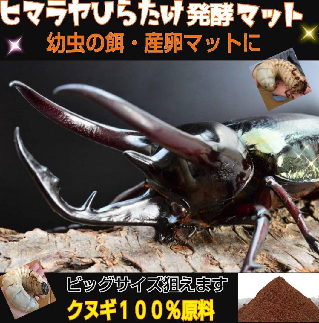 カブトムシ幼虫が大きなる！発酵マット【6袋セット】すぐに使えます