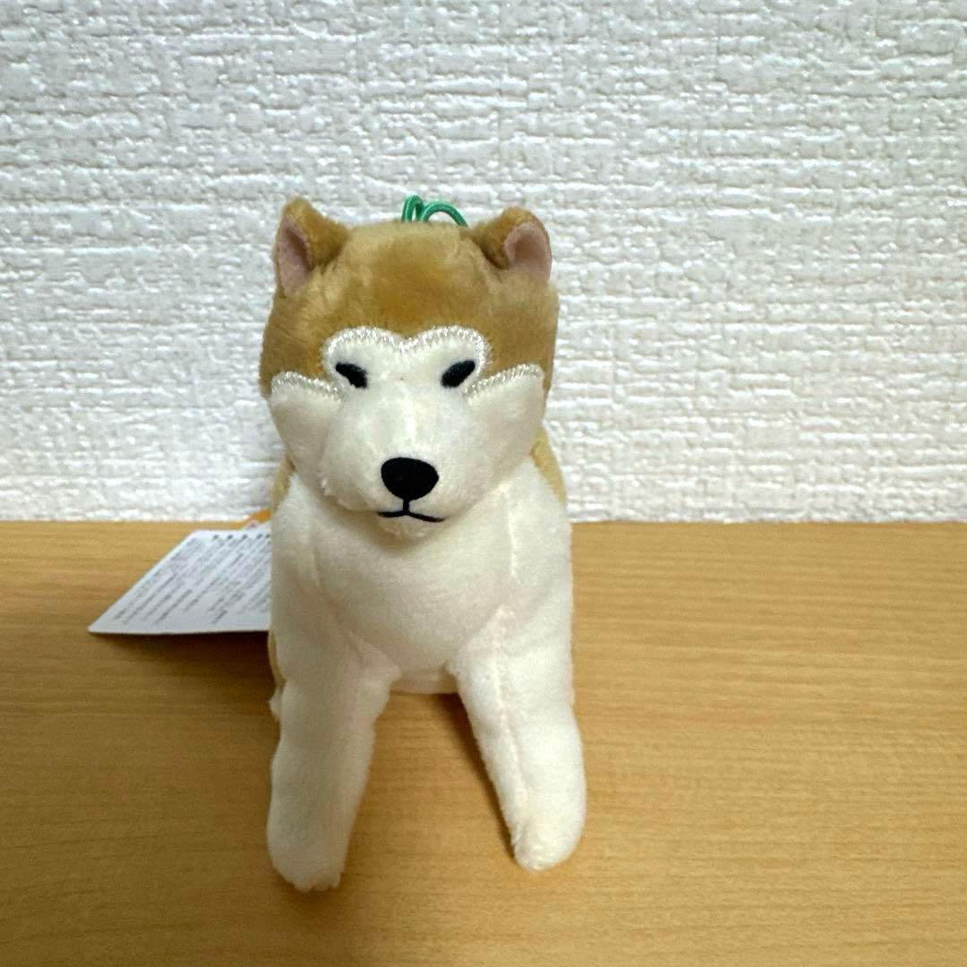ほっこり秋田犬 はち兵衛 - メルカリ