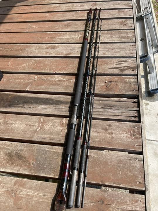 購入 T661 茶碗 『刷毛目楓』『近藤清泉 造』 共箱 抹茶碗 茶道具