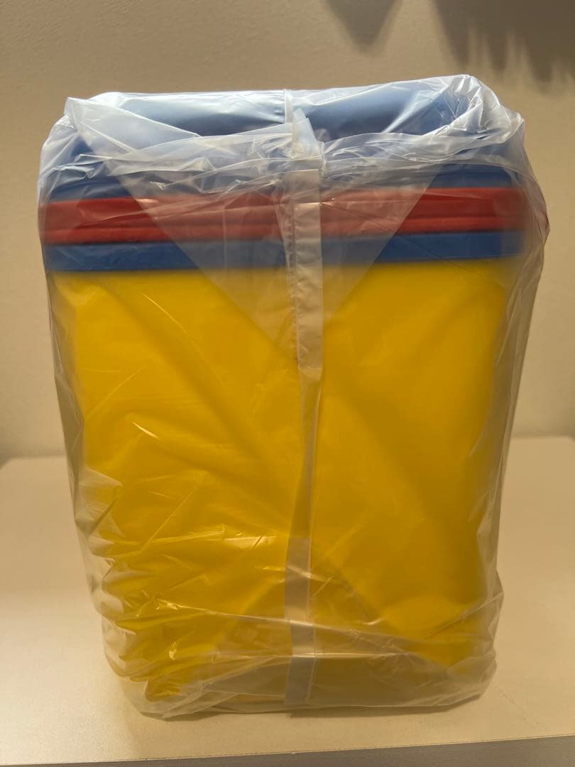 ⭐︎2006年当時モノ❗️⭐︎ポケモンセンターオンライン公式ピクニック