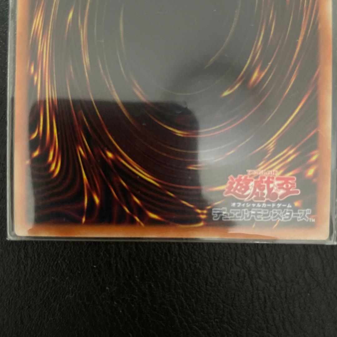 I P マスカレーナ プリズマ　美品　2枚セット