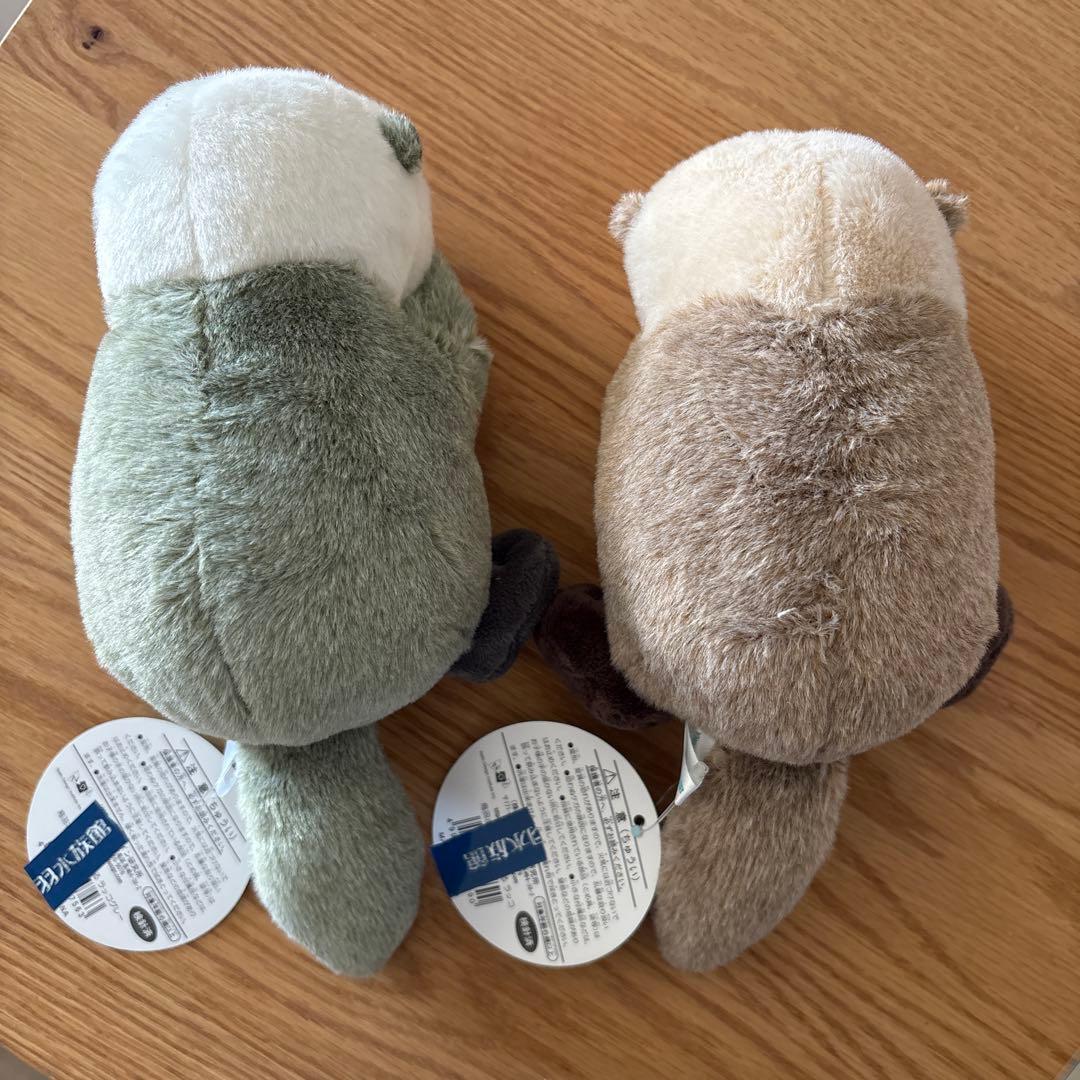 鳥羽水族館 70周年ラッコセット