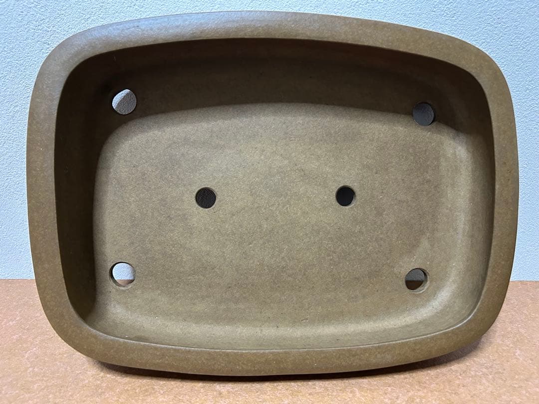 萬留平　盆栽鉢　山野草