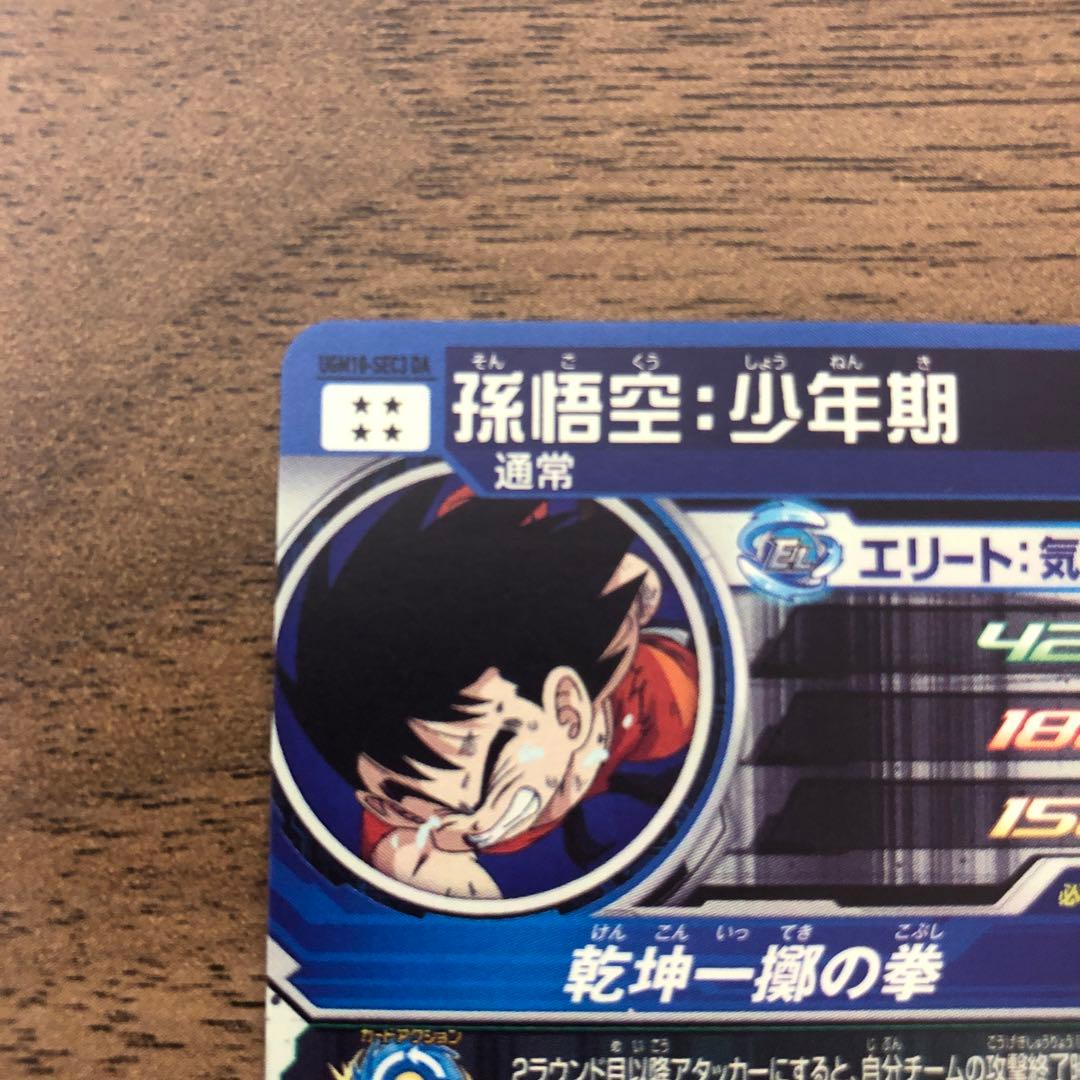 IGM10-SEC3 DA 孫悟空（少年期）