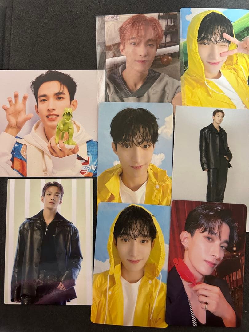 SEVENTEEN ドギョム トレカ まとめ売り - メルカリ