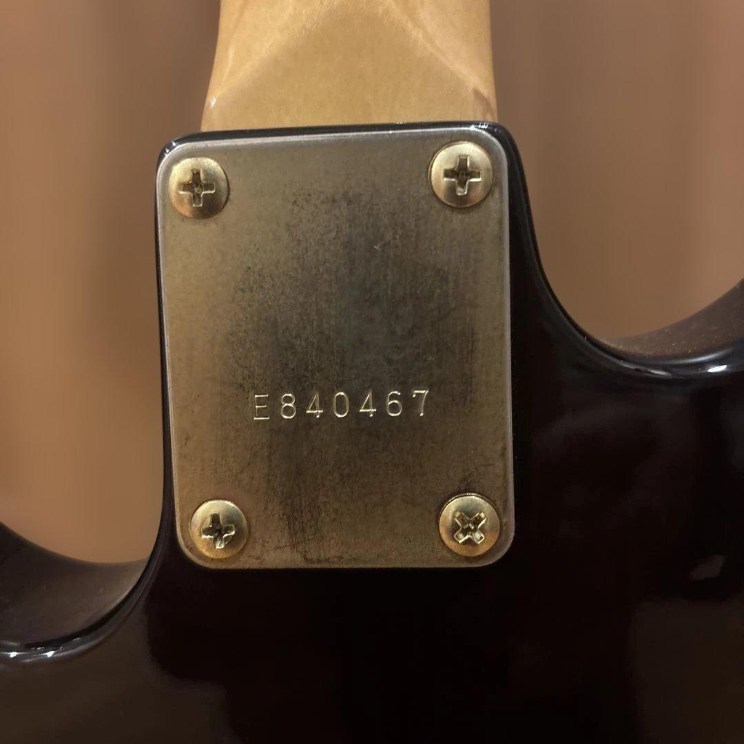 中村さん専用】Bill Lawrence by Morris GOTOHペグ