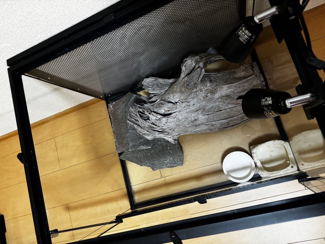 ケージ 爬虫類 トカゲ飼育セット 60 yoshimi様専用