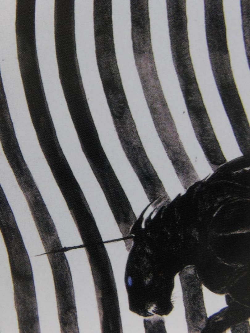 天野喜孝、【Time Travel】、希少な額装用画集より、厳選、新品額装