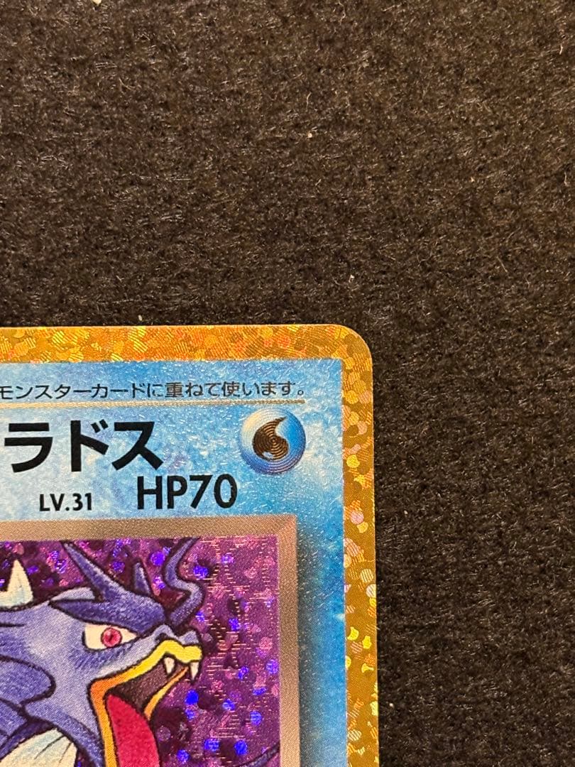 【ひかるコイキング わるいギャラドス 25th】２枚セット