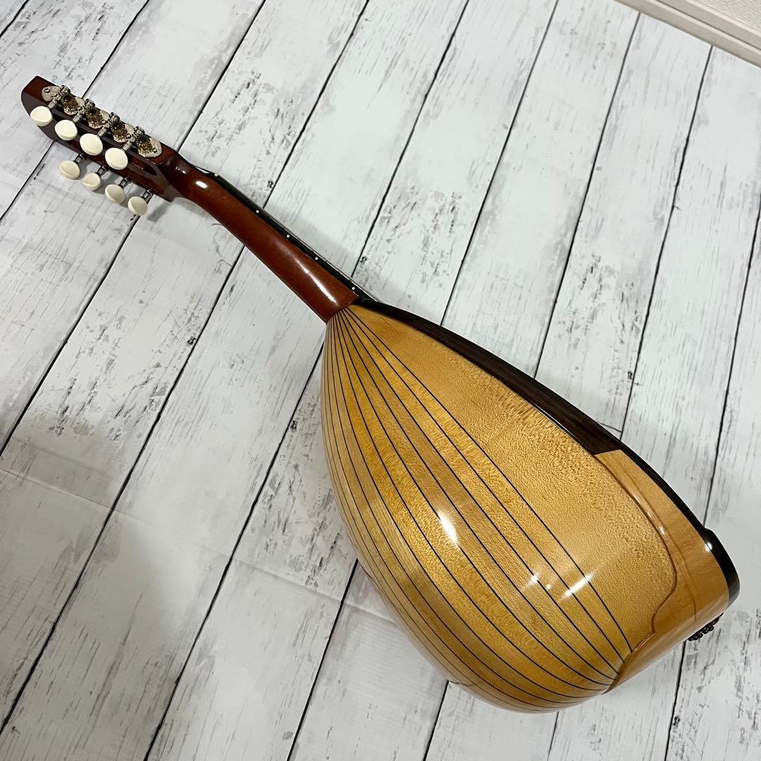 SUZUKI M-30 マンドリン 本体 ハードケース 弦 ピック付き！