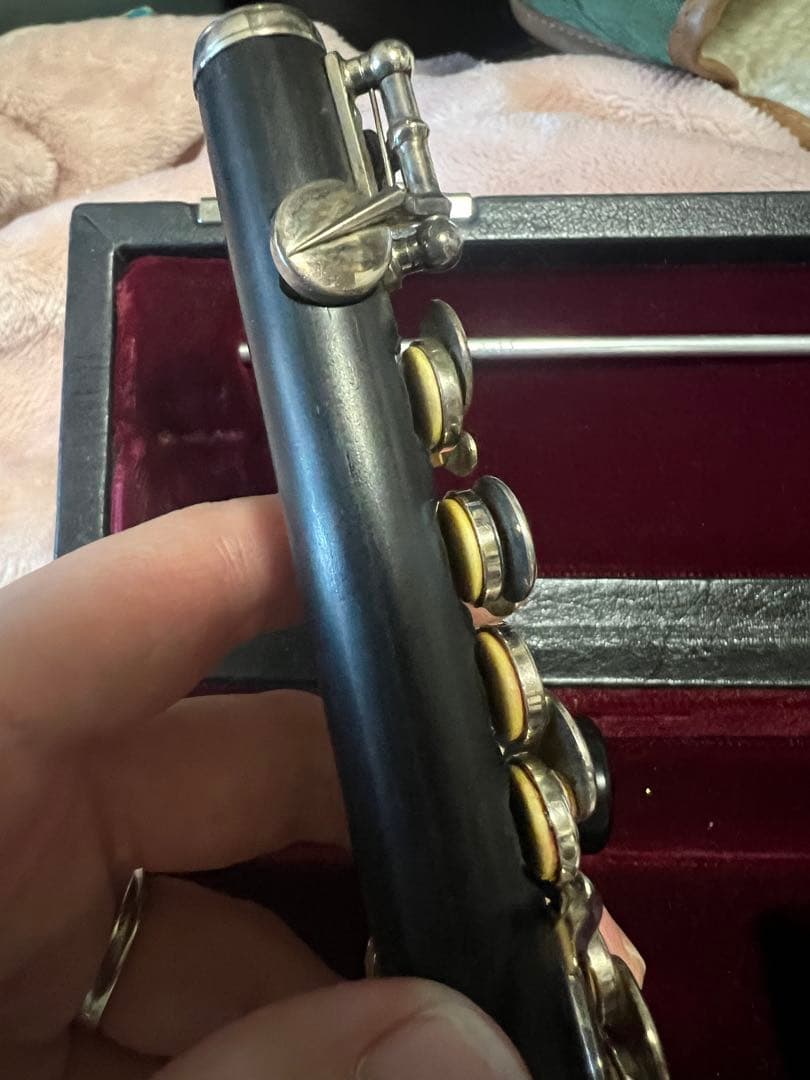 タケザワ　ピッコロ　205 EVR