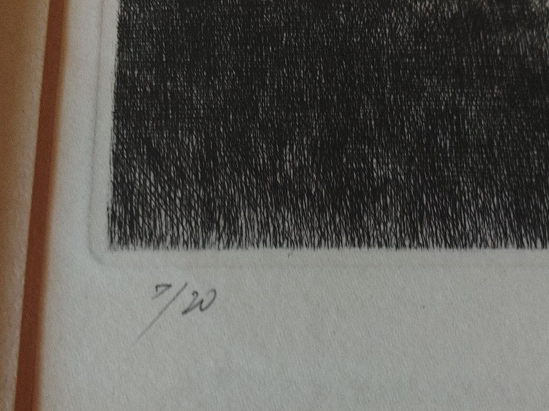 版画？　林の風景　作者S.Okamoto　サイン有り　繊細な樹木　額入り