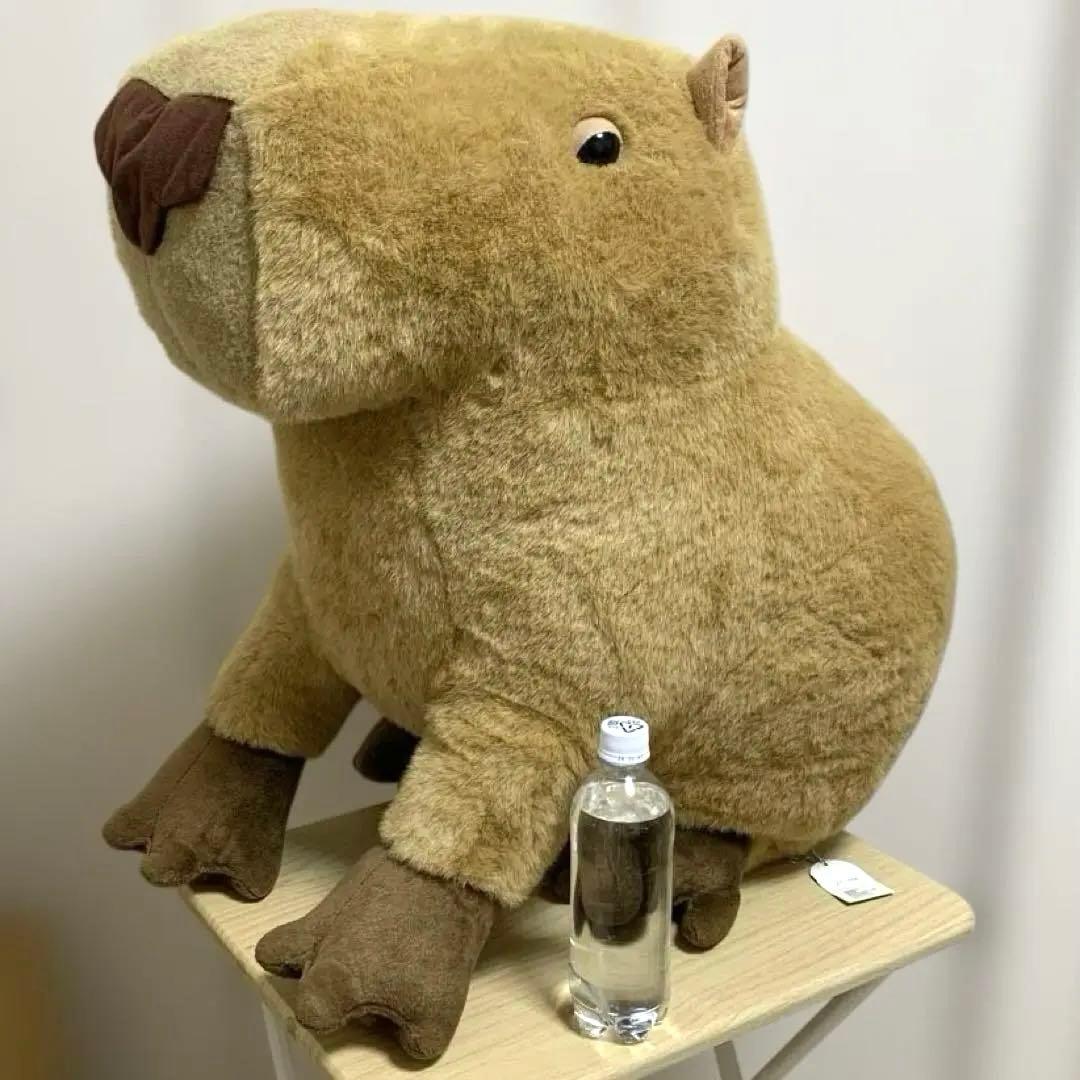 超大型　実物サイズ　カピパラ　ぬいぐるみ 超大型 実物サイズ カピパラ ぬいぐるみ Amazon.co.jp: カピバラ