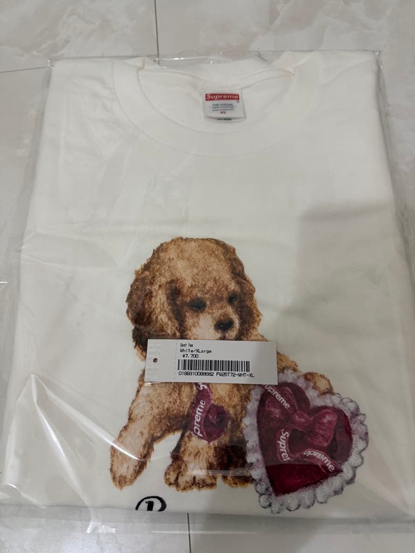 長谷川様専用】 supreme Dust Tee Tシャツ XL