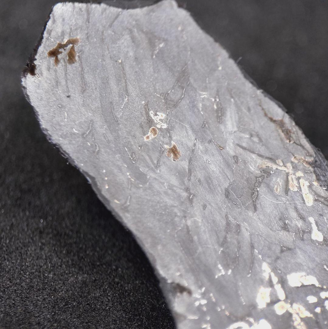 ギベオン隕石　(スライス)　10.15g