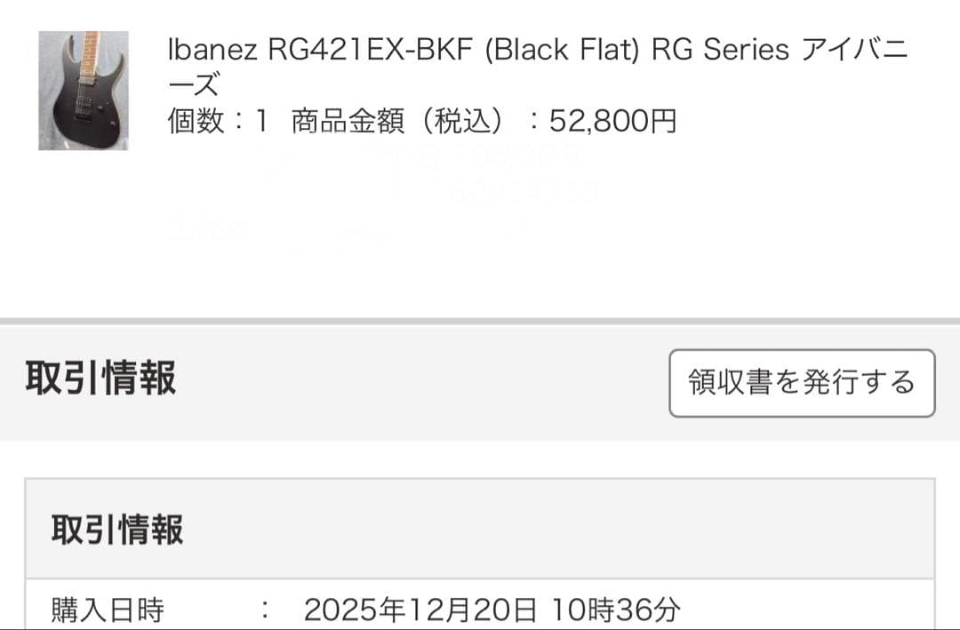 ギター Ibanez RG421EX