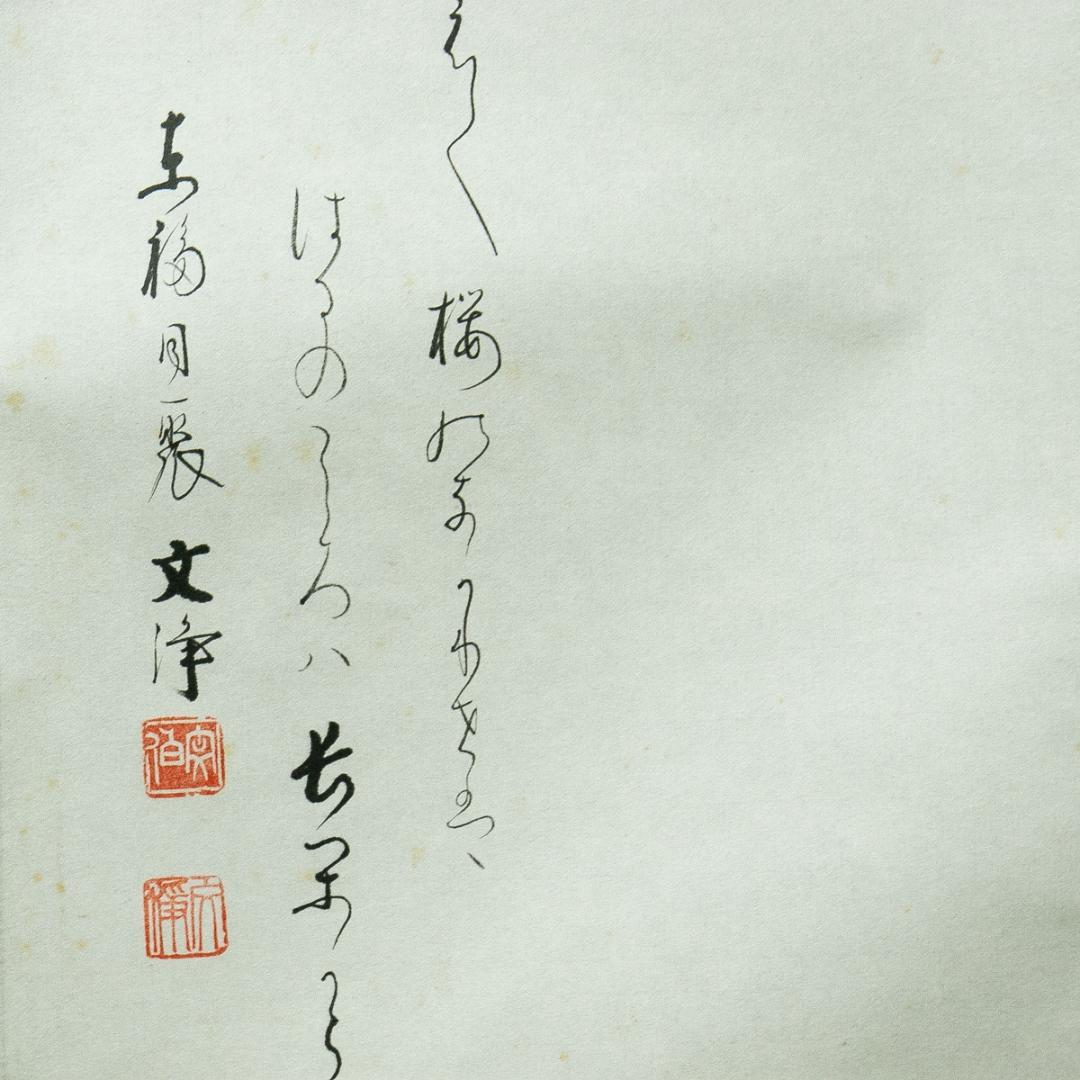 掛軸-1728　東福寺　西部文浄　夜桜画賛　共箱