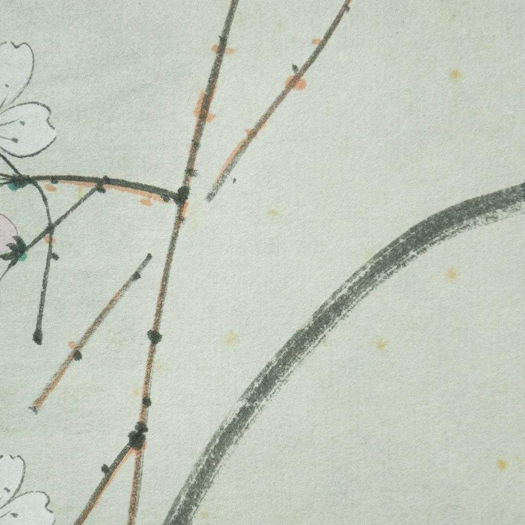 掛軸-1728　東福寺　西部文浄　夜桜画賛　共箱