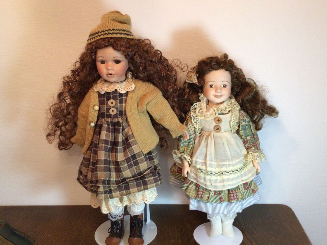 蝶標本 Caraxes フタオ 東南アジア①研究産地別コレクション 大型