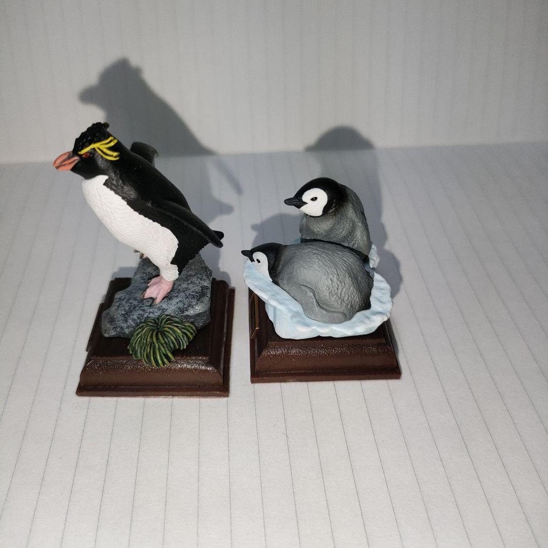 ネイチャーテクニカラー南極激レア試作品イワトビペンギン
