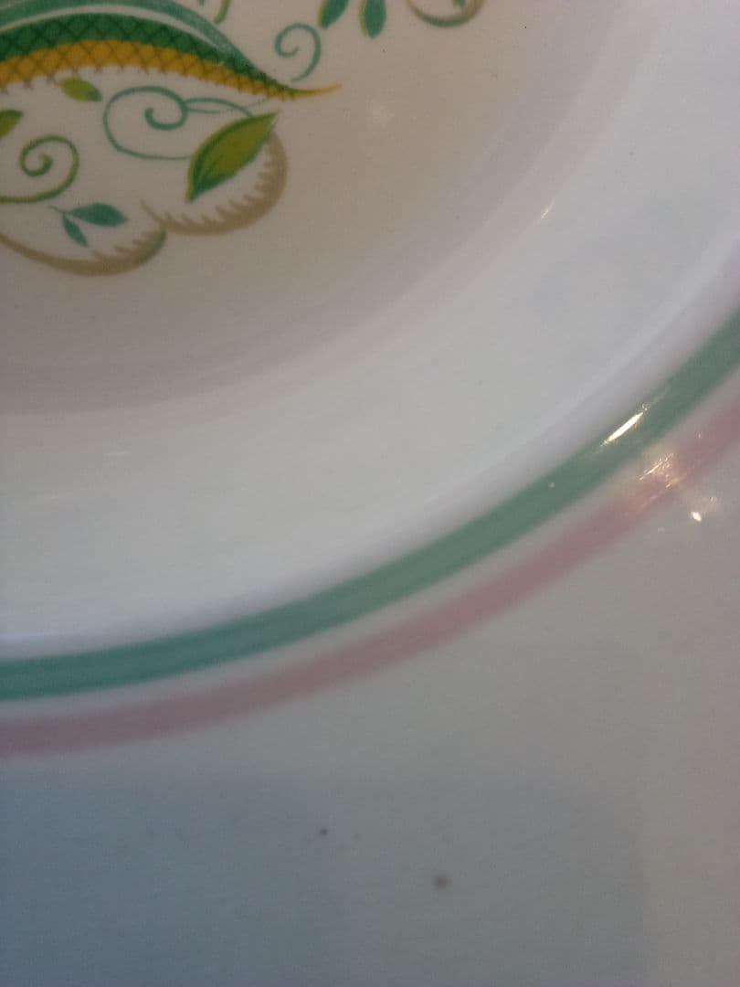 イギリス ス—ジ—•ク—パ― ス—プ皿 「ドレスデンスプレー」