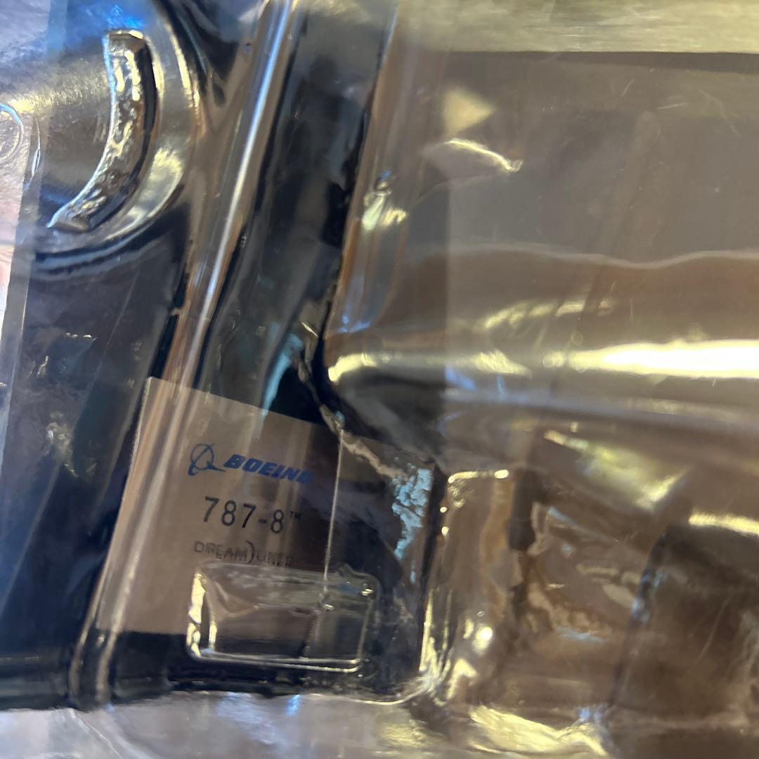 PACMIN / パックミン｜B787-8 ハウスカラー　1/144 飛行機模型