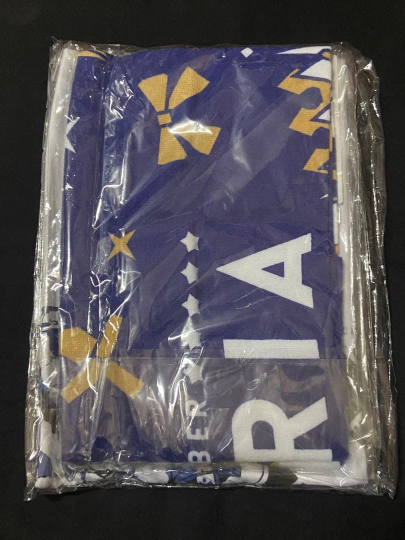 fgo きゃらとりあ Tシャツ＆スポーツタオル ギルガメッシュ アルトリア