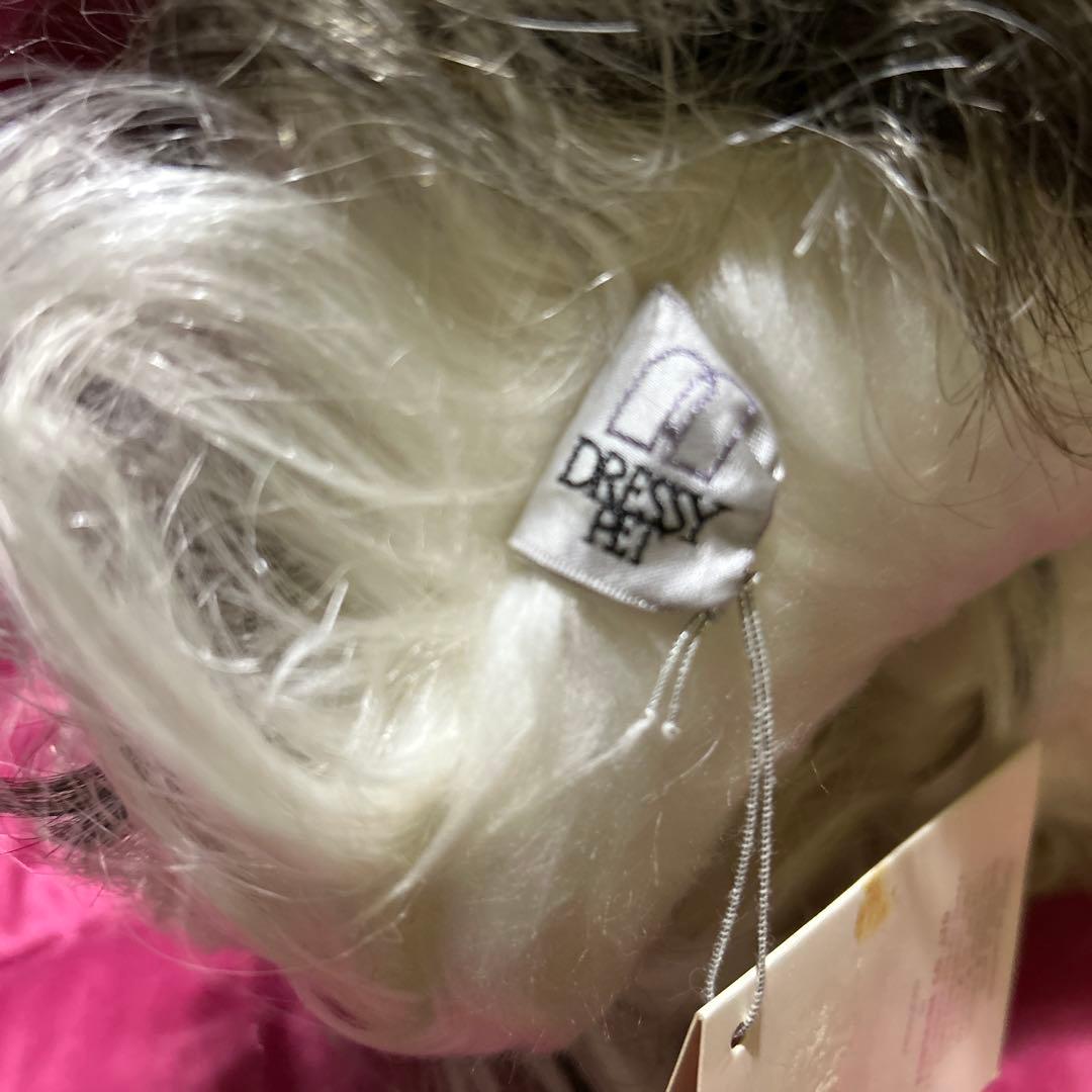 ドレッシーペット　ぬいぐるみ　犬　シーズー　 レア　希少　タグ付き❣️