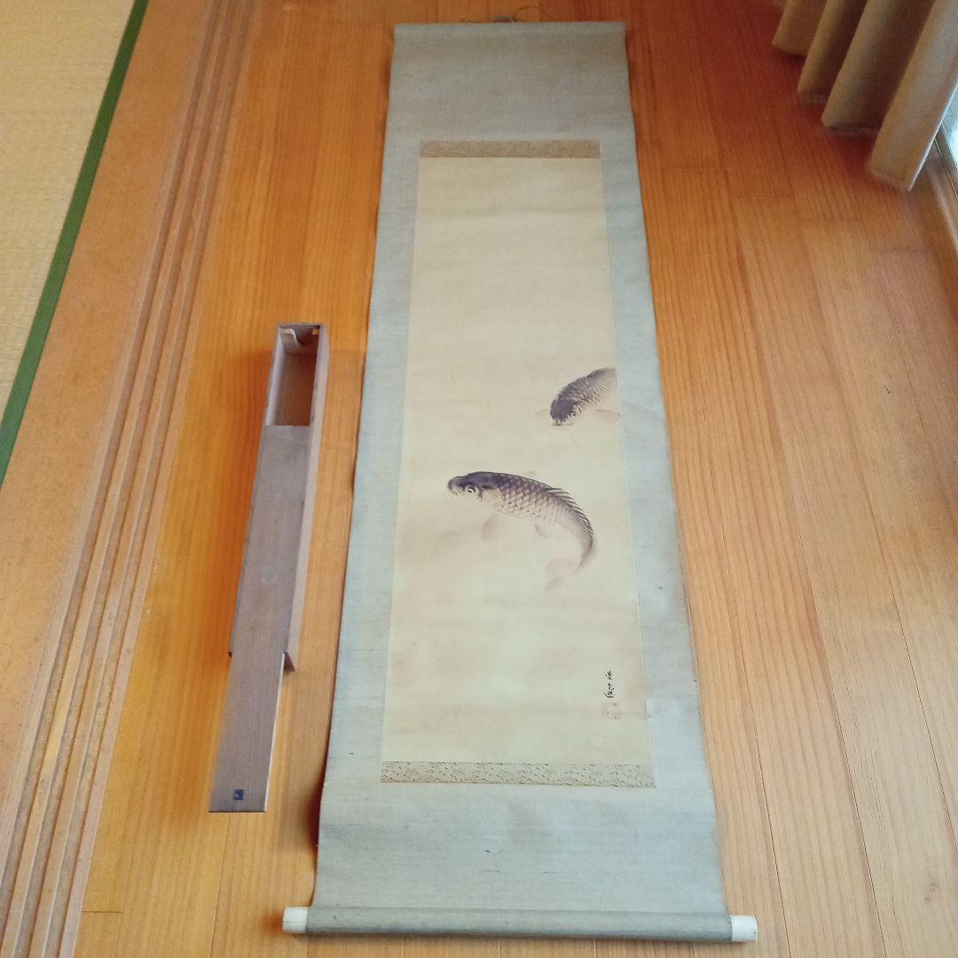 【真作】 鯉の光達 森田光達　(雙鯉之図・養生箱)