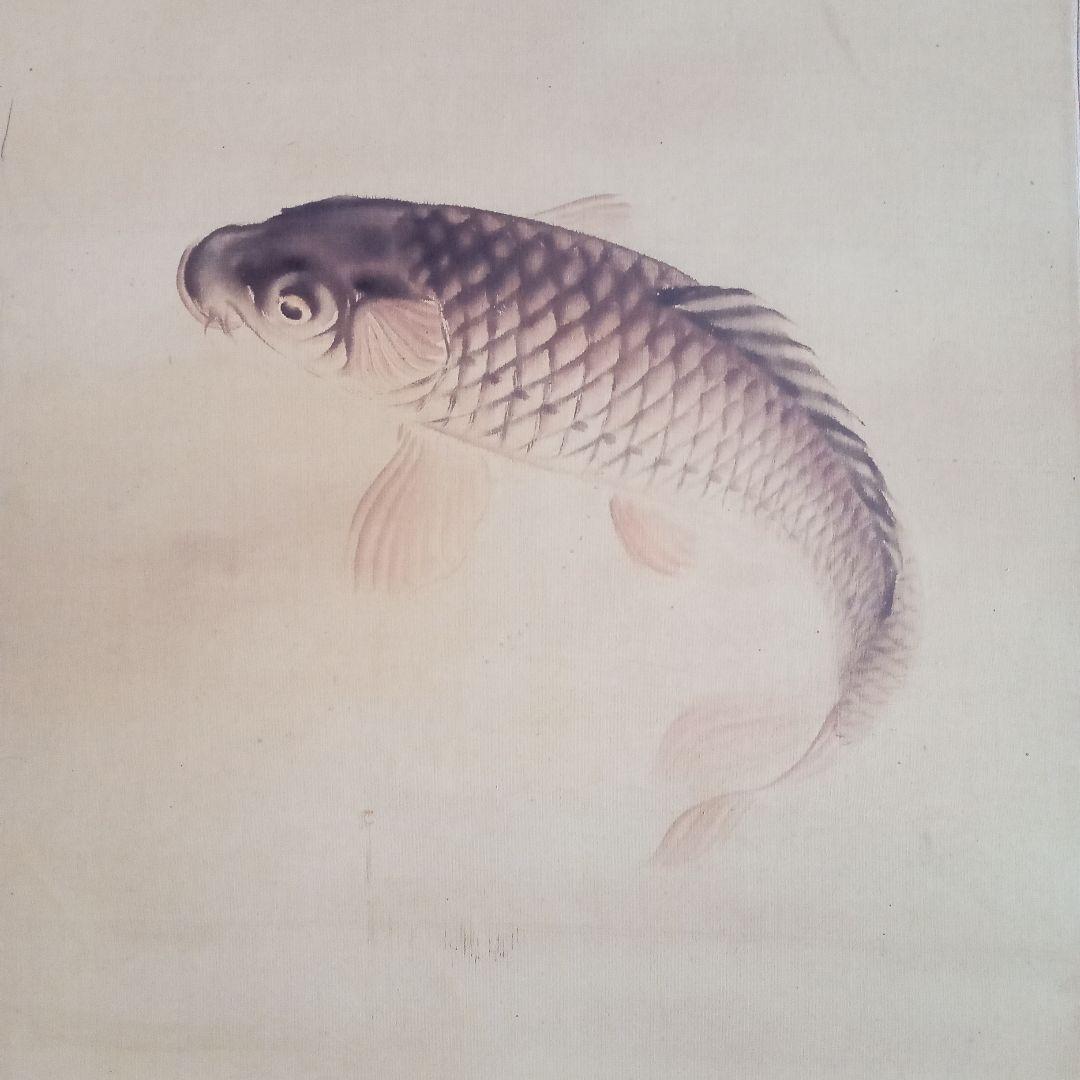 【真作】 鯉の光達 森田光達　(雙鯉之図・養生箱)