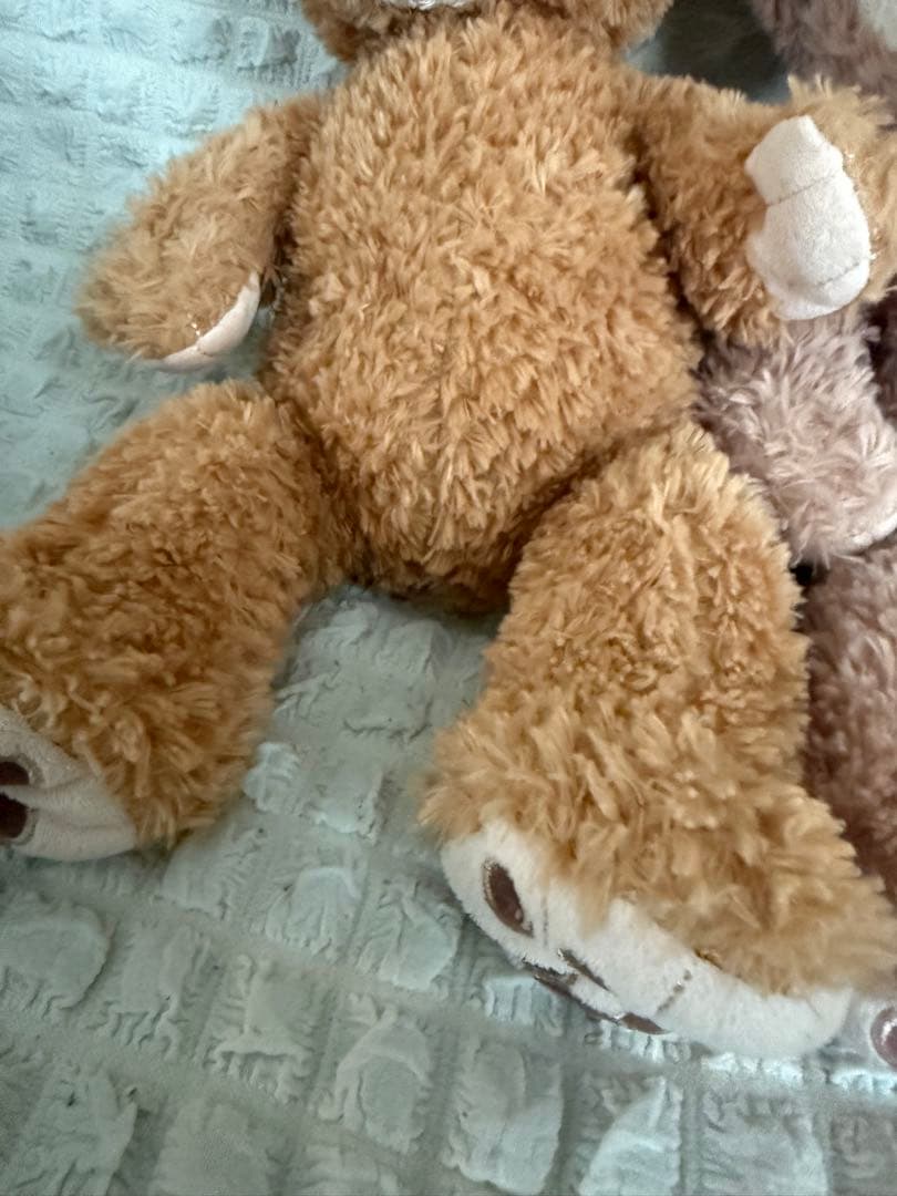 【超希少】ダッフィー•シェリーメイ　アミューズメント限定　12年前