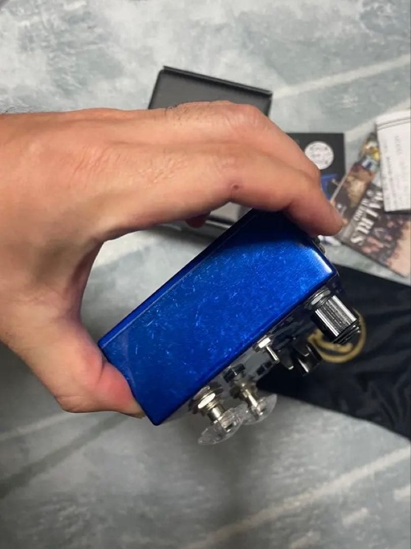 Walrus Audio Slöer （箱付き）