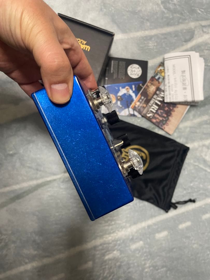 Walrus Audio Slöer （箱付き）