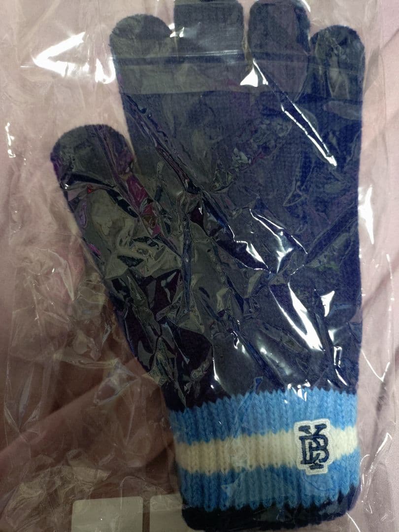 横浜 DeNA ベイスターズ 乙坂智 NICO33 手袋 実使用 サイン ミズノ