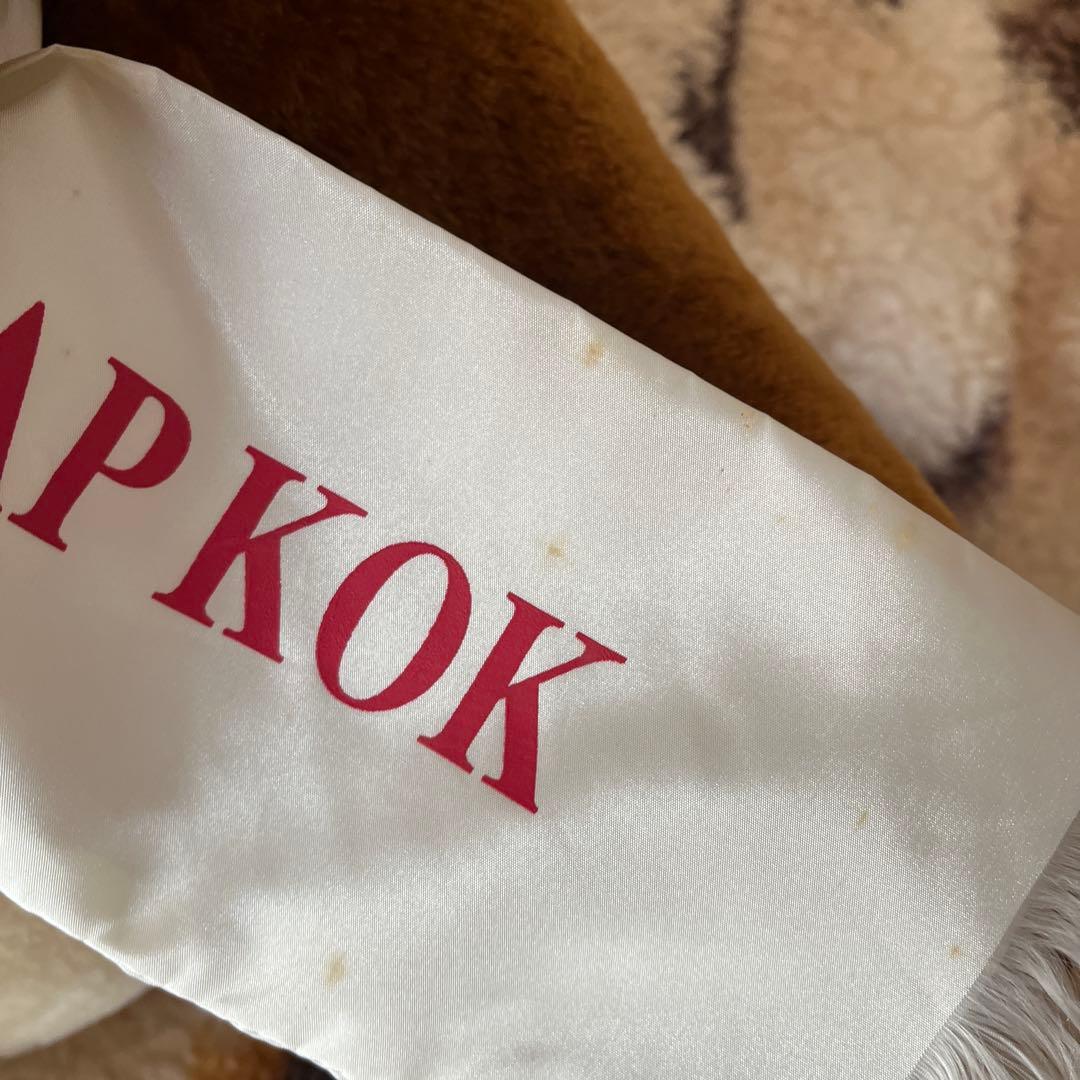 CHEK LAP KOK空港記念チーキー パイロットベア大