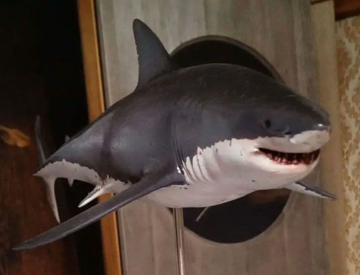 サメ 模型 ホホジロザメ 超絶モデル