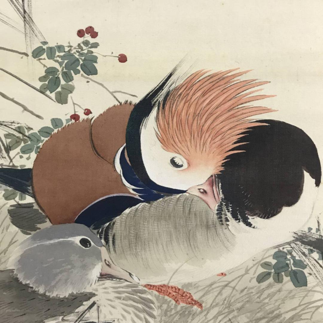 【真作】深田直城/寒汀オシドリ図/鴛鴦図/花鳥図/掛軸/名家伝来/AD-382