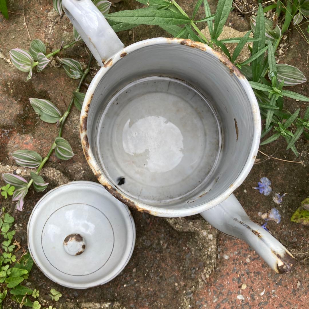 フランス アンティーク コーヒーポット ガーデングッズ