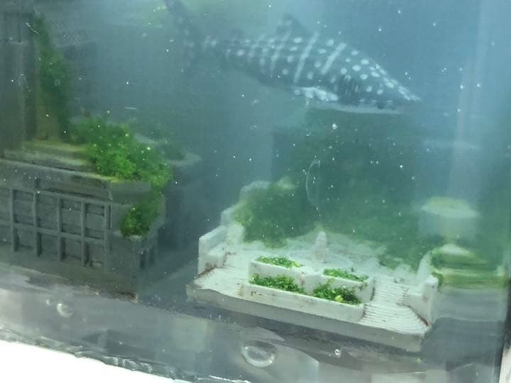 水没ジオラマ 廃墟ビルに泳ぐジンベイザメ
