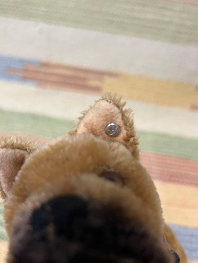 シュタイフ ボクサー犬