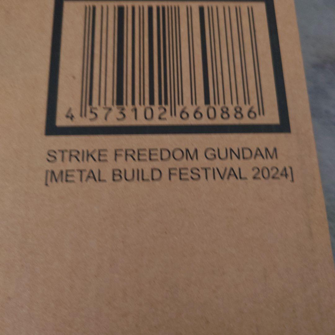 L　BUILD　ストライクフリーダムガンダム　2024 ＋光の翼
