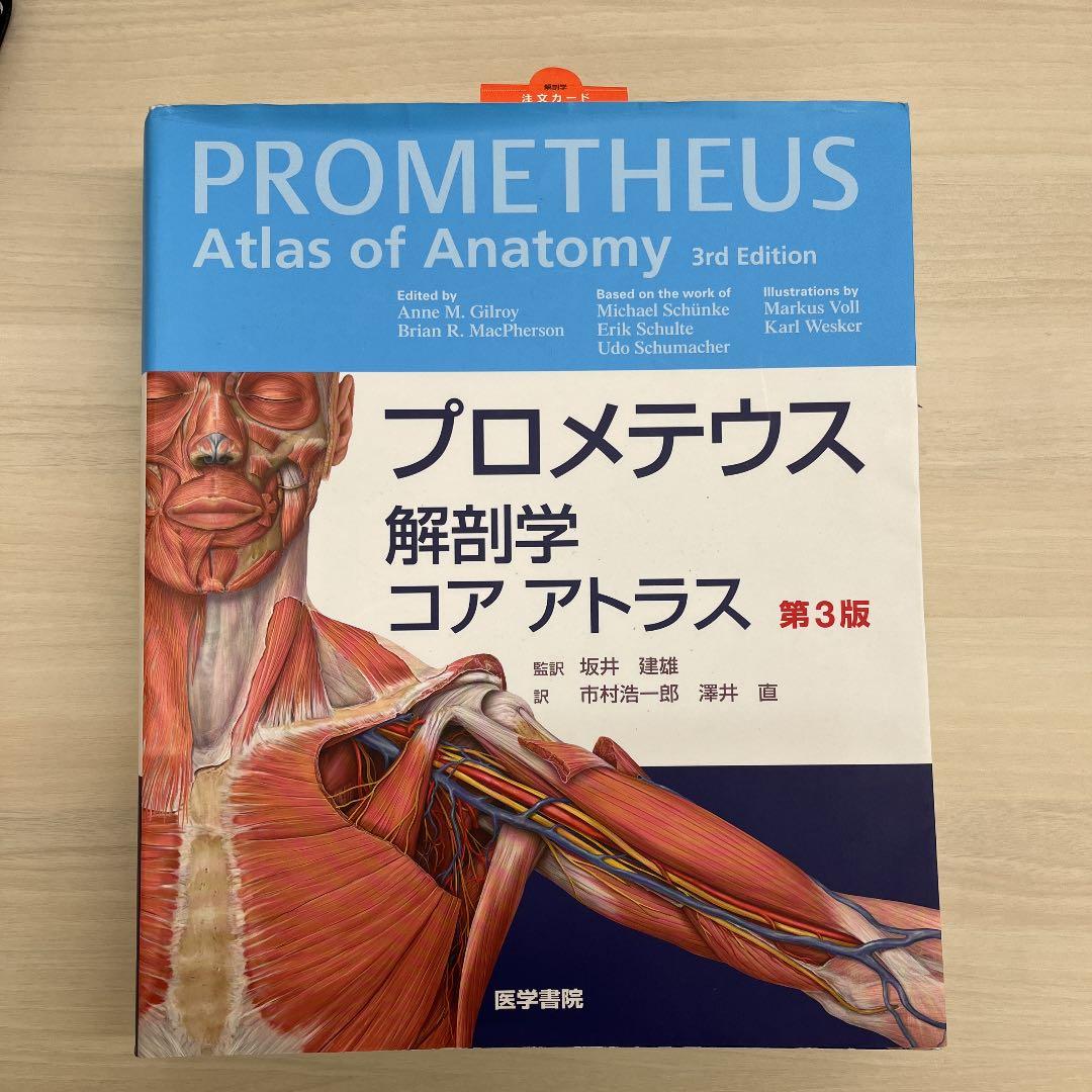 マーサスチュワート snowman 雪だるま 新品 ビッグパンチ スノーマン