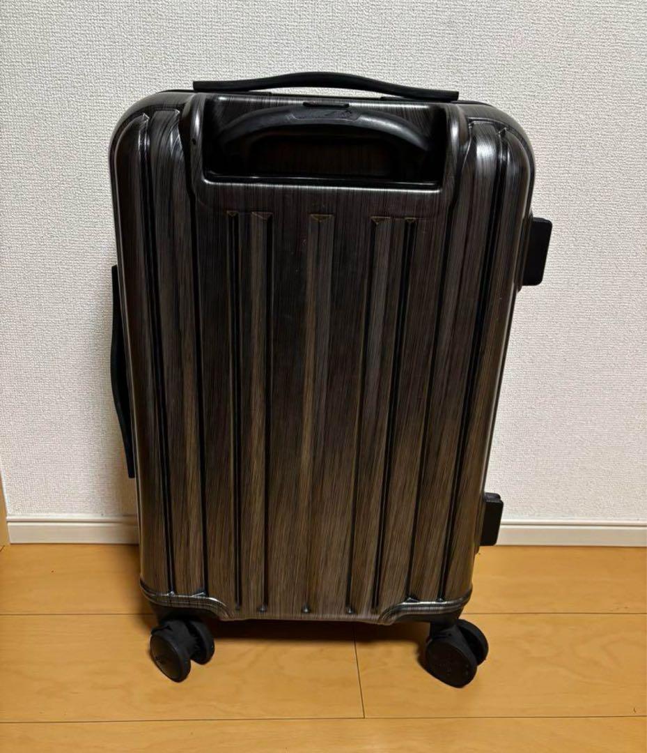 NATIONAL GEOGRAPHIC キャリーケース シルバー ナショナルジオ